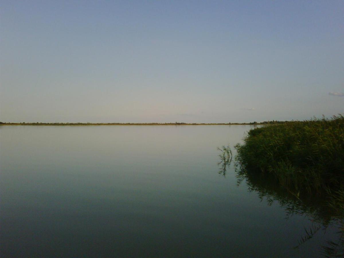 Haus Am See Neusiedl am See Bagian luar foto