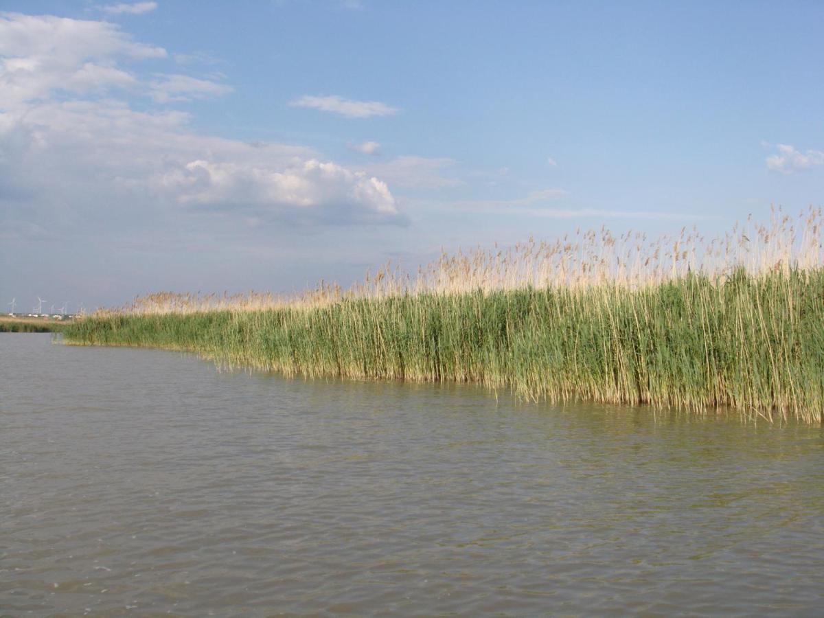 Haus Am See Neusiedl am See Bagian luar foto