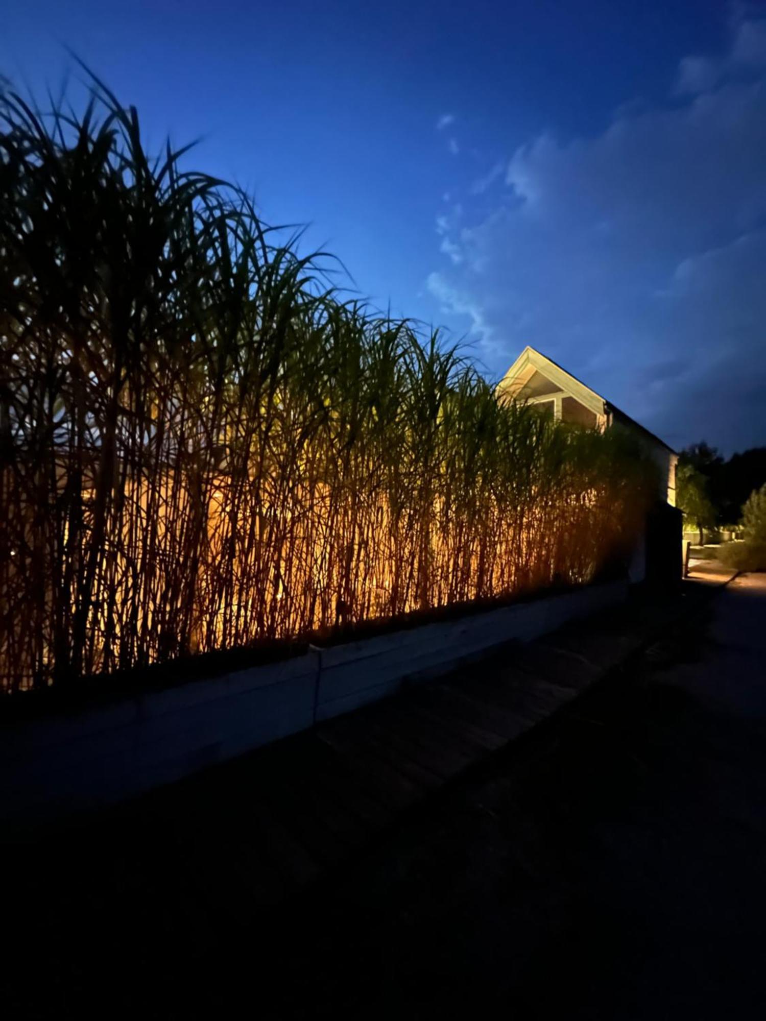 Haus Am See Neusiedl am See Bagian luar foto