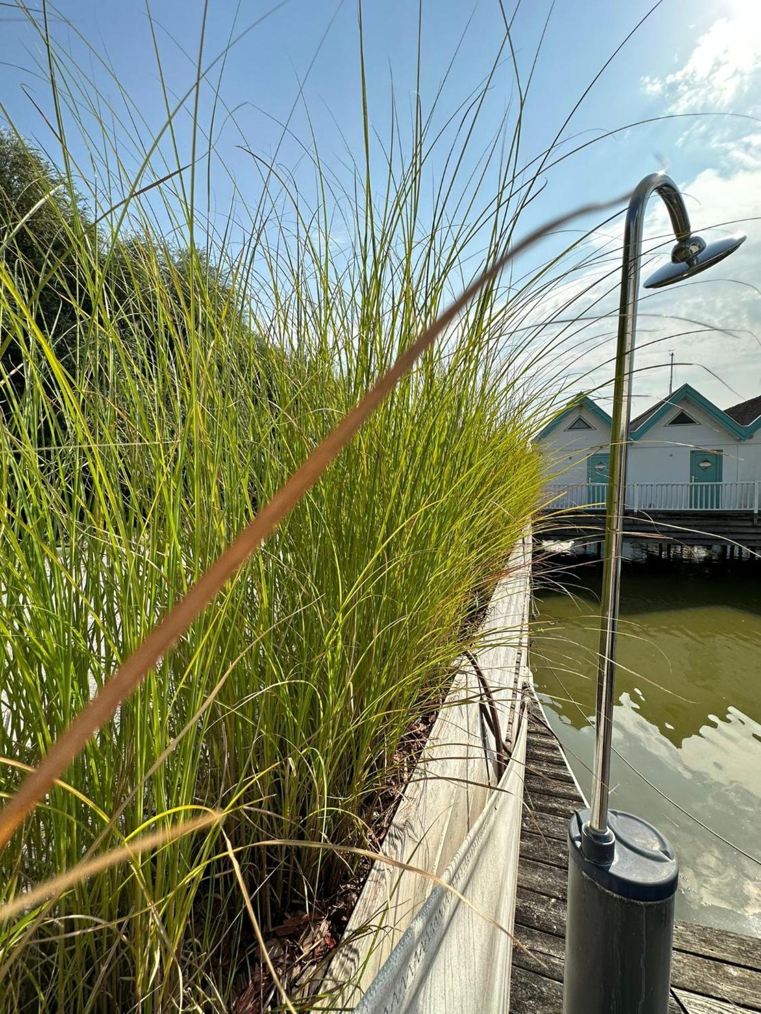 Haus Am See Neusiedl am See Bagian luar foto