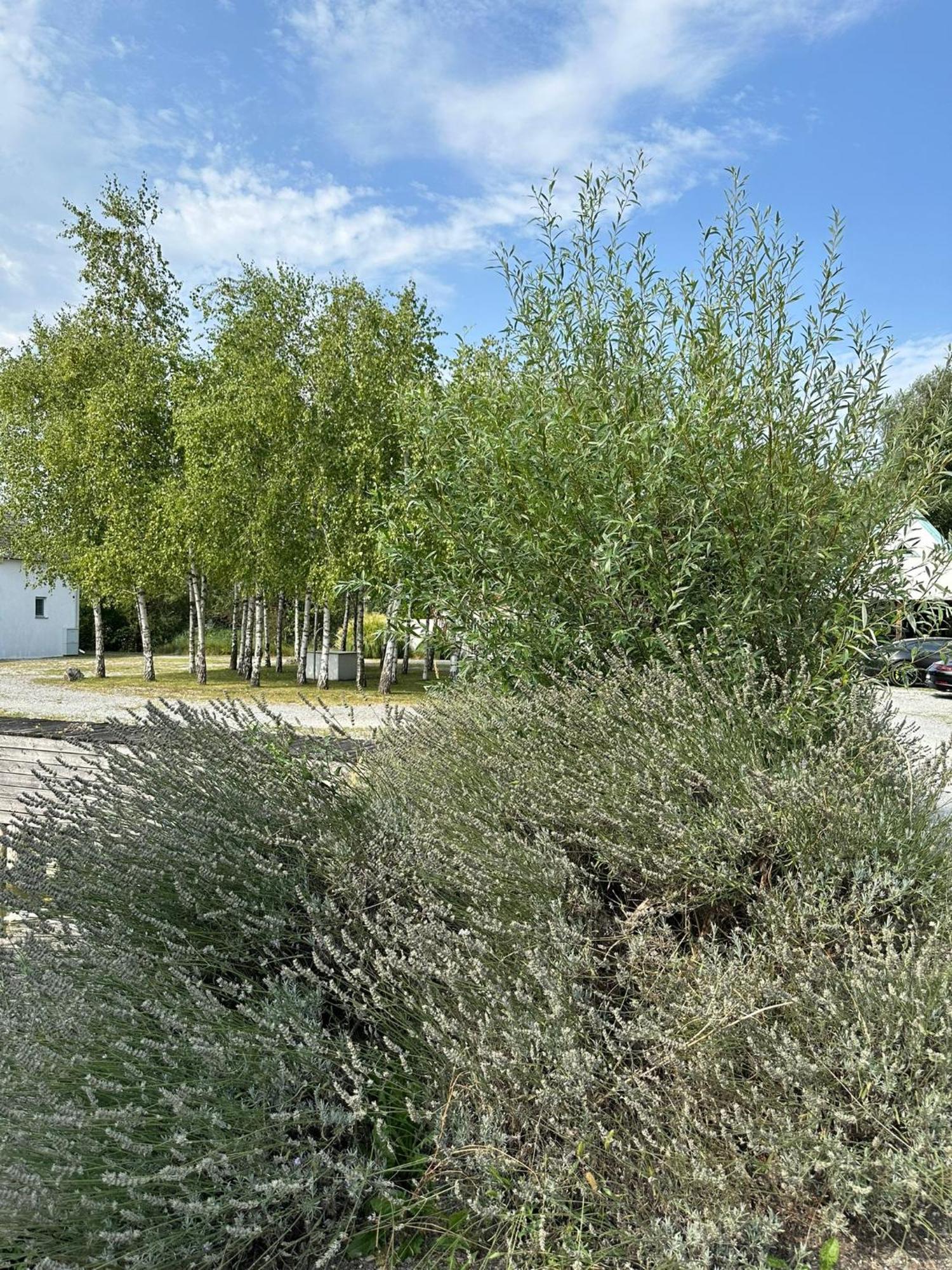 Haus Am See Neusiedl am See Bagian luar foto